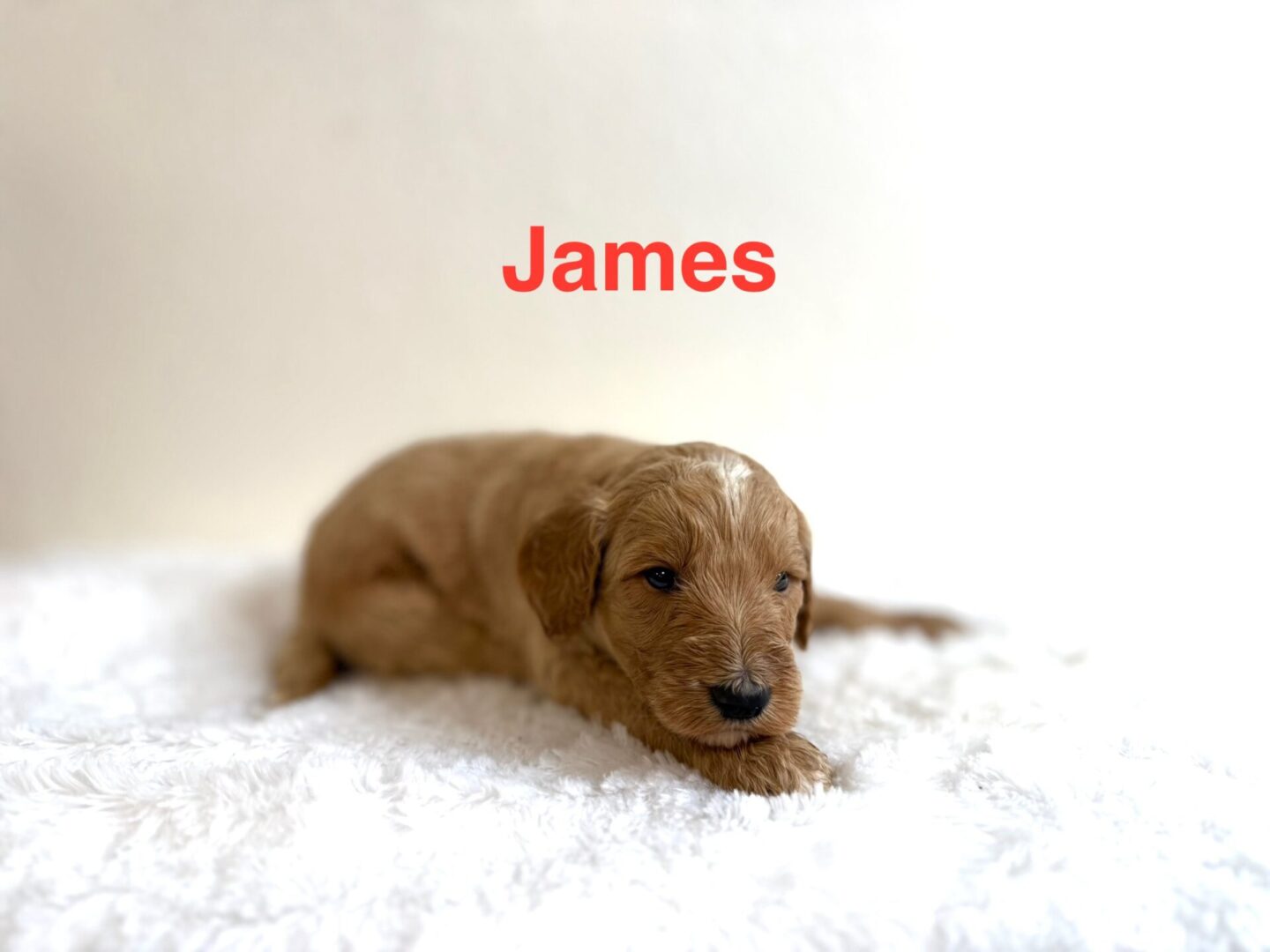 James James