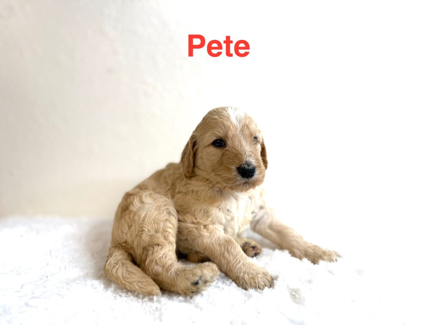 Pete Pete